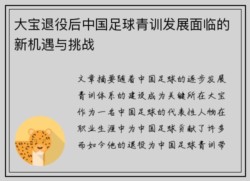 大宝退役后中国足球青训发展面临的新机遇与挑战